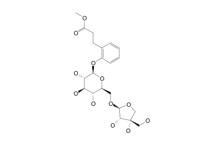 2-PHENYLPROPANOATE-2-O-BETA-D-APIOFURANOSYL-(1->6)-O-BETA-D-GLUCOPYRANOSIDE
