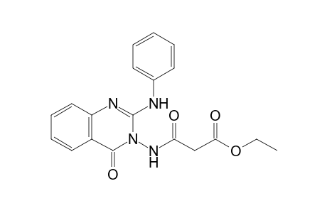 3-[(2-anilino-4-keto-quinazolin-3-yl)amino]-3-keto-propionic acid ethyl ester