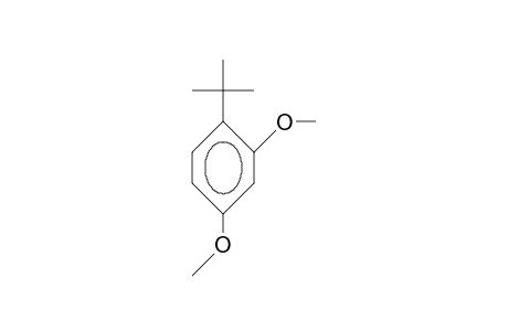 1-tert-Butyl-2,4-dimethoxybenzene