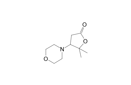 beta-[(1-hydroxy-1-methyl)ethyl]-4-morpholinepropionic acid, gamma lactone