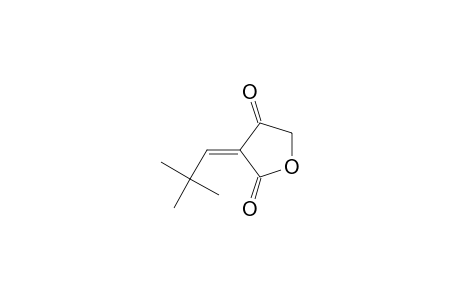 3-(2,2-dimethylpropylidene)tetrahydrofuran-2,4-dione