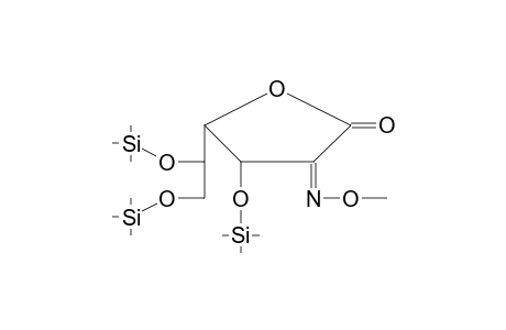 Gluconic acid, .gamma.-lactone, 2-methoximine, tris(O-trimethylsilyl)-