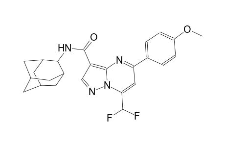 N-(2-adamantyl)-7-(difluoromethyl)-5-(4-methoxyphenyl)pyrazolo[1,5-a]pyrimidine-3-carboxamide
