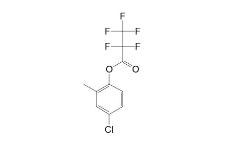 4-Chloro-2-methylphenol, o-pentafluoropropionyl-