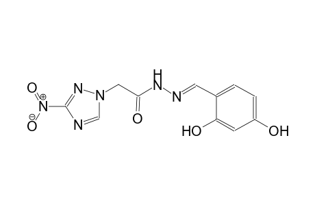 1H-1,2,4-triazole-1-acetic acid, 3-nitro-, 2-[(E)-(2,4-dihydroxyphenyl)methylidene]hydrazide