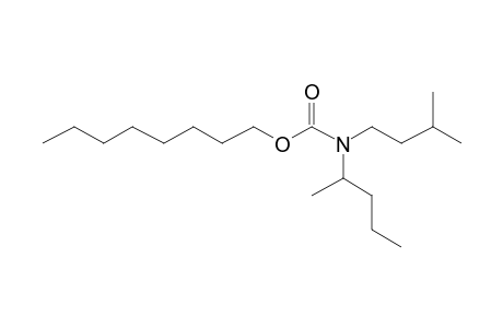 Carbonic acid, monoamide, N-(2-pentyl)-N-(3-methylbutyl)-, octyl ester