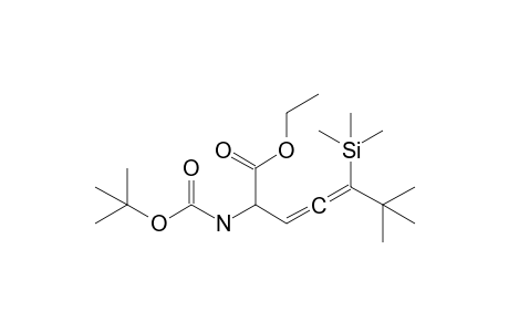 2-(Tert-butoxycarbonylamino)-6,6-dimethyl-5-trimethylsilyl-hepta-3,4-dienoic acid ethyl ester