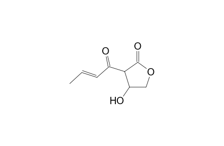 Crotonylcarnitine oxylactone