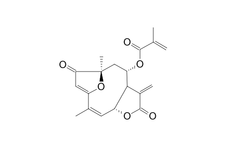 15-DEOXYGOYAZENSOLIDE