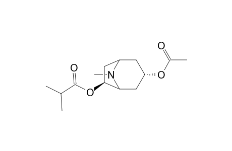 Propanoic acid, 2-methyl-, 3-(acetyloxy)-8-methyl-8-azabicyclo[3.2.1]oct-6-yl ester, (3-endo,6-exo)-(.+-.)-