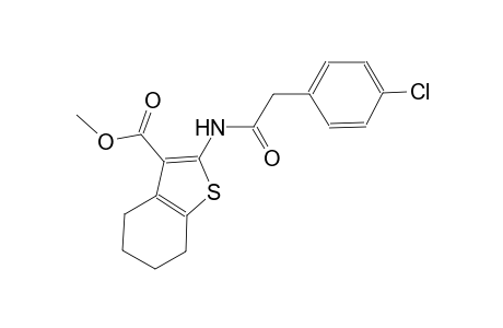 methyl 2-{[(4-chlorophenyl)acetyl]amino}-4,5,6,7-tetrahydro-1-benzothiophene-3-carboxylate