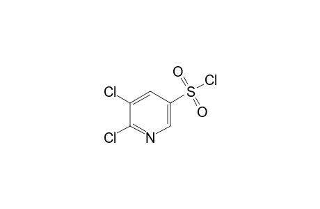 3-Pyridinesulfonyl chloride, 5,6-dichloro-