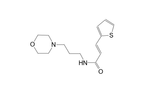 (2E)-N-[3-(4-morpholinyl)propyl]-3-(2-thienyl)-2-propenamide