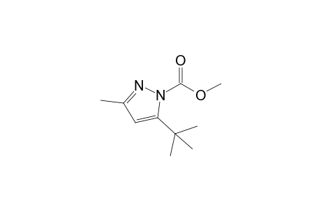 Methyl 5-t-butyl-3-methylpyrazole-1-carboxylate