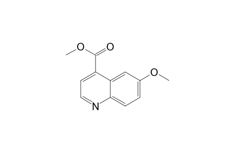 6-Methoxy-4-quinolinecarboxylic acid methyl ester