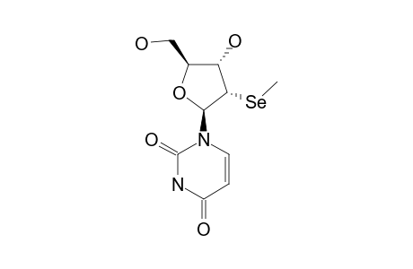 2'-DEOXY-2'-SE-METHYL-URIDINE