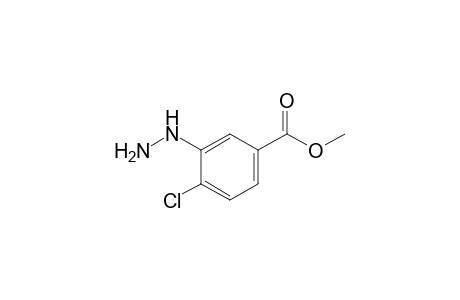 4-chloro-3-hydrazinobenzoic acid, methyl ester