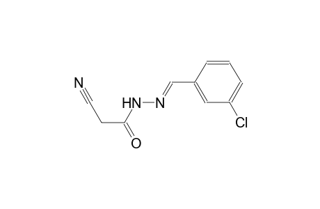acetic acid, cyano-, 2-[(E)-(3-chlorophenyl)methylidene]hydrazide