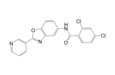2,4-dichloro-N-[2-(3-pyridinyl)-1,3-benzoxazol-5-yl]benzamide