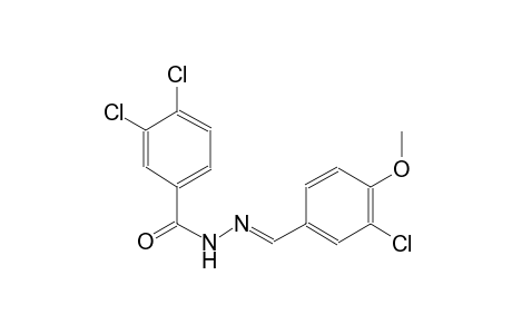 3,4-dichloro-N'-[(E)-(3-chloro-4-methoxyphenyl)methylidene]benzohydrazide
