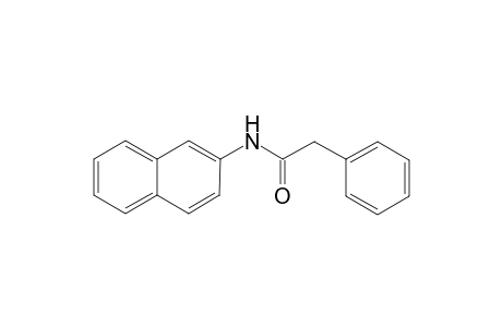N-(2-Naphthyl)-2-phenylacetamide