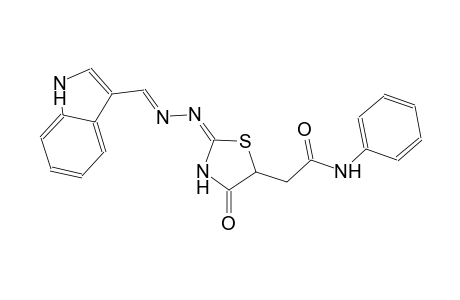 2-{(2E)-2-[(2E)-2-(1H-indol-3-ylmethylene)hydrazono]-4-oxo-1,3-thiazolidin-5-yl}-N-phenylacetamide