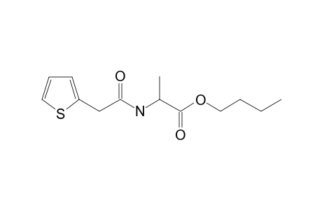 L-Alanine, N-(2-thienylacetyl)-, butyl ester