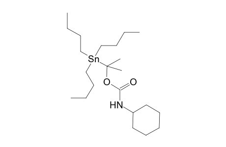 Cyclohexyl-carbamic acid 1-methyl-1-tributylstannanyl-ethyl ester