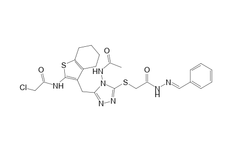 N-{3-[4-Acetylamino-5-(benzylidene-hydrazinocarbonylmethylsulfanyl)-4H-[1,2,4]triazol-3-ylmethyl]-4,5,6,7-tetrahydro-benzo[b]thiophen-2-yl}-2-chloro-acetamide