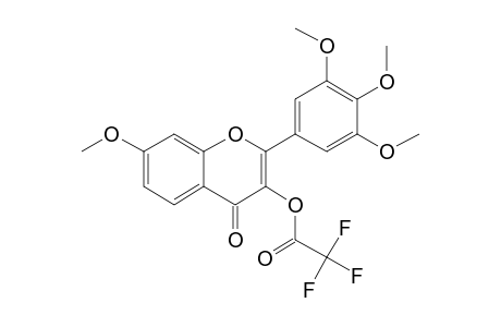 3-Hydroxy-7,3',4',5'-tetramethoxyflavone, trifluoroacetate