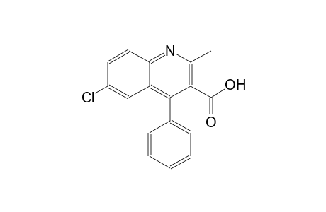 6-chloro-2-methyl-4-phenyl-3-quinolinecarboxylic acid