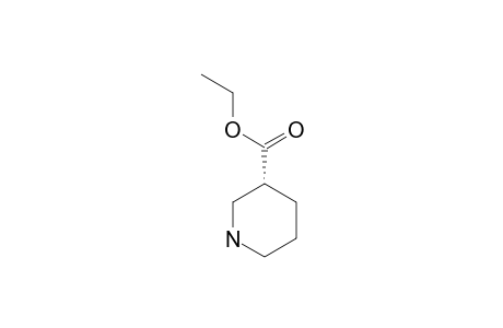 (R)-(-)-Ethyl nipecotate