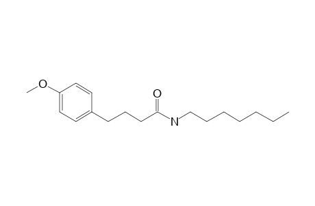 Butyramide, 4-(4-methoxyphenyl)-N-heptyl-