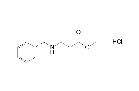 N-benzyl-beta-alanine, methyl ester, hydrochloride
