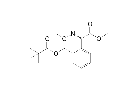 Benzeneacetic acid, 2-[(2,2-dimethyl-1-oxopropoxy)methyl]-alpha-(methoxyimino)-, methyl ester