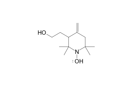 3-Hydroxyethyl-2,2,6,6-tetramethyl-4-methylenepiperidin-1-yloxy radical