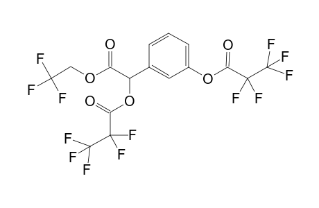 Trifluoroethyl-di(pentafluoropropionyl) m-hydroxymandelate