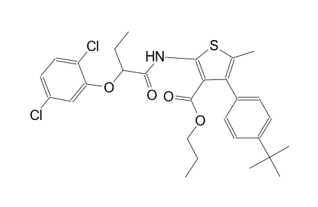 propyl 4-(4-tert-butylphenyl)-2-{[2-(2,5-dichlorophenoxy)butanoyl]amino}-5-methyl-3-thiophenecarboxylate