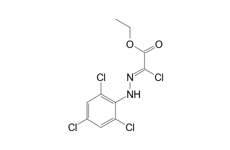 Acetic acid, chloro[(2,4,6-trichlorophenyl)hydrazono]-, ethyl ester