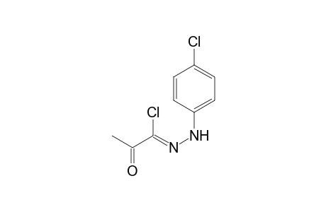 Propanehydrazonoyl chloride, N-(4-chlorophenyl)-2-oxo-,