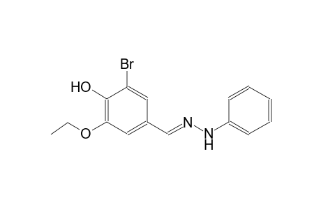 3-bromo-5-ethoxy-4-hydroxybenzaldehyde phenylhydrazone
