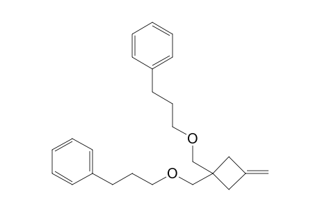 3,3-Bis(3-phenylpropoxymethyl)-1-methylidenecyclobutane