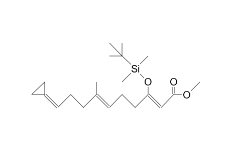 10-Cyclopropylidene-7-methyl-3-(T-butyl-dimethylsiloxy)-trans, trans-deca-2,6-dienoic acid, methyl ester