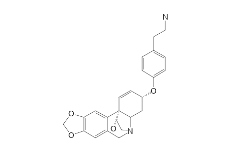 3-[4'-(8'-AMINOETHYL)-PHENOXY]-BULBISPERMINE