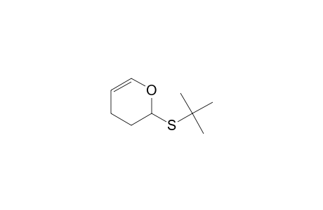 2H-Pyran, 2-[(1,1-dimethylethyl)thio]-3,4-dihydro-