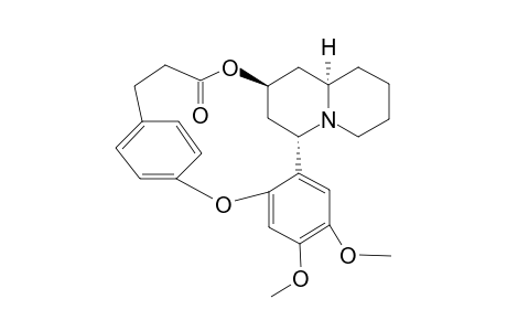 VERTALINE