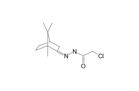 2-Bornanone chloroacetylhydrazone