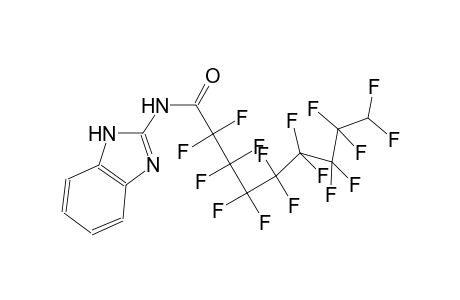 N-(1H-benzimidazol-2-yl)-2,2,3,3,4,4,5,5,6,6,7,7,8,8,9,9-hexadecafluorononanamide
