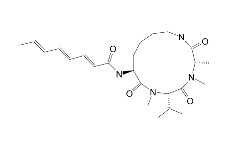 SCLEROTIOTIDE_C;(2-E,4-E,6-E)-CYCLO-[(N-ME-L-ALA)-(N-ME-L-VAL)-(N-ALPHA-OCTA-2,4,6-TRIENOYL-L-LYS)]