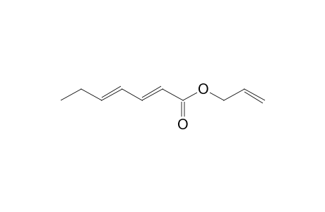 prop-2-enyl (2E,4E)-hepta-2,4-dienoate